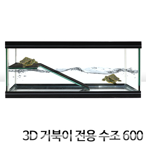 3D 거북이 수조 600