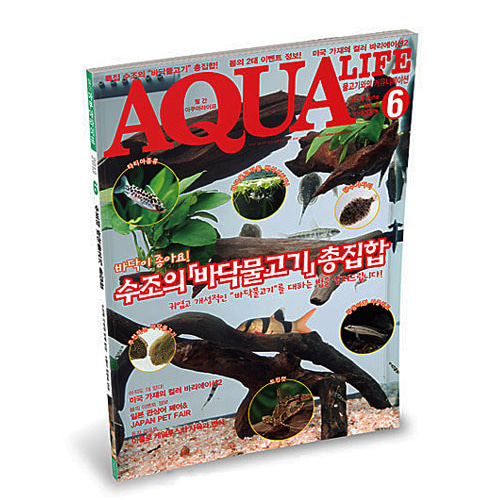 아쿠아라이프 2013년 6월호 (수조의 바닥물고기 총집합)