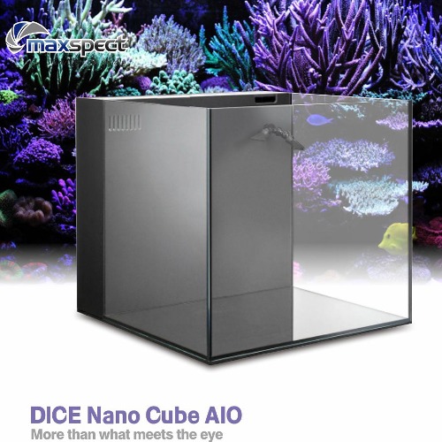 맥스펙트 Dice Nano Cube AIO (수조 단품)